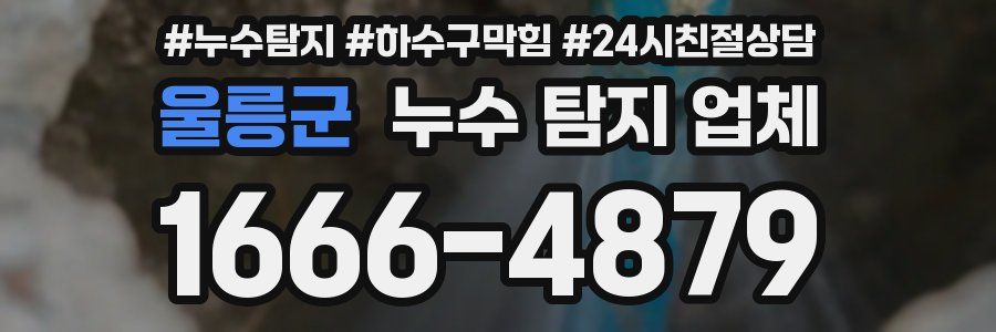 울릉군 누수 탐지 업체