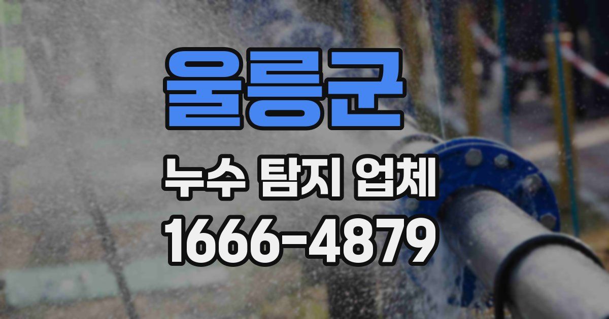 울릉군 누수 탐지 업체