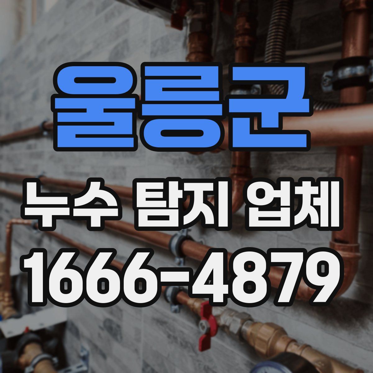 울릉군 누수 탐지 업체