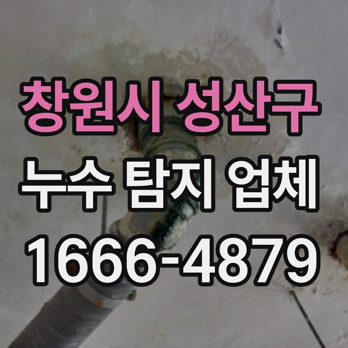 창원시 성산구 누수 탐지 업체