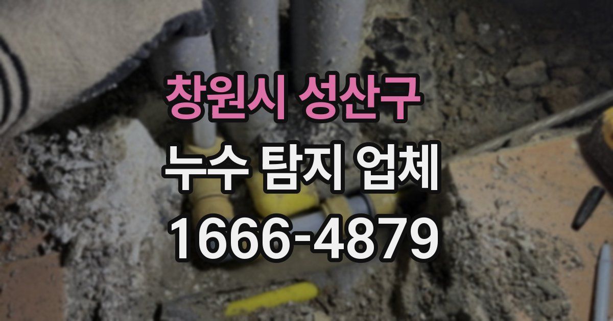 창원시 성산구 누수 탐지 업체