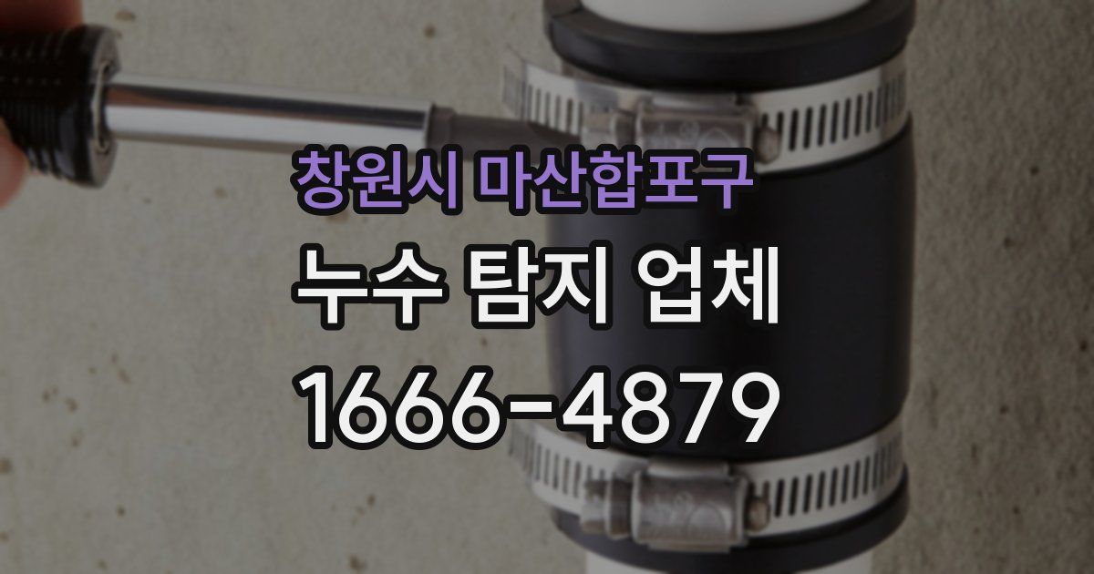 창원시 마산합포구 누수 탐지 업체