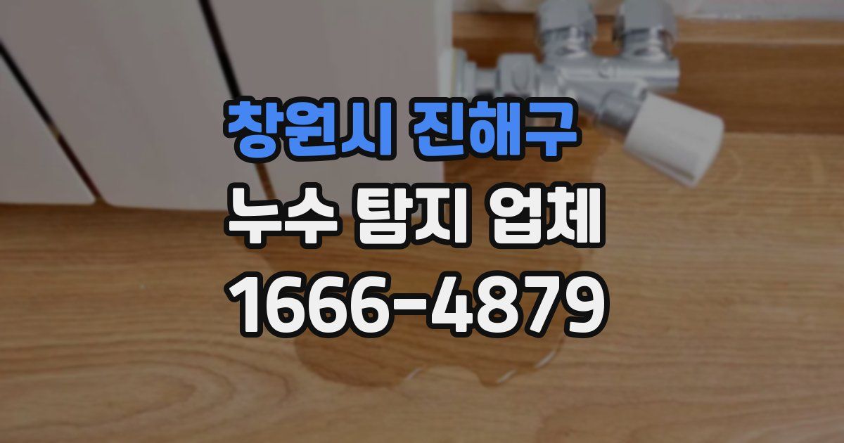 창원시 진해구 누수 탐지 업체