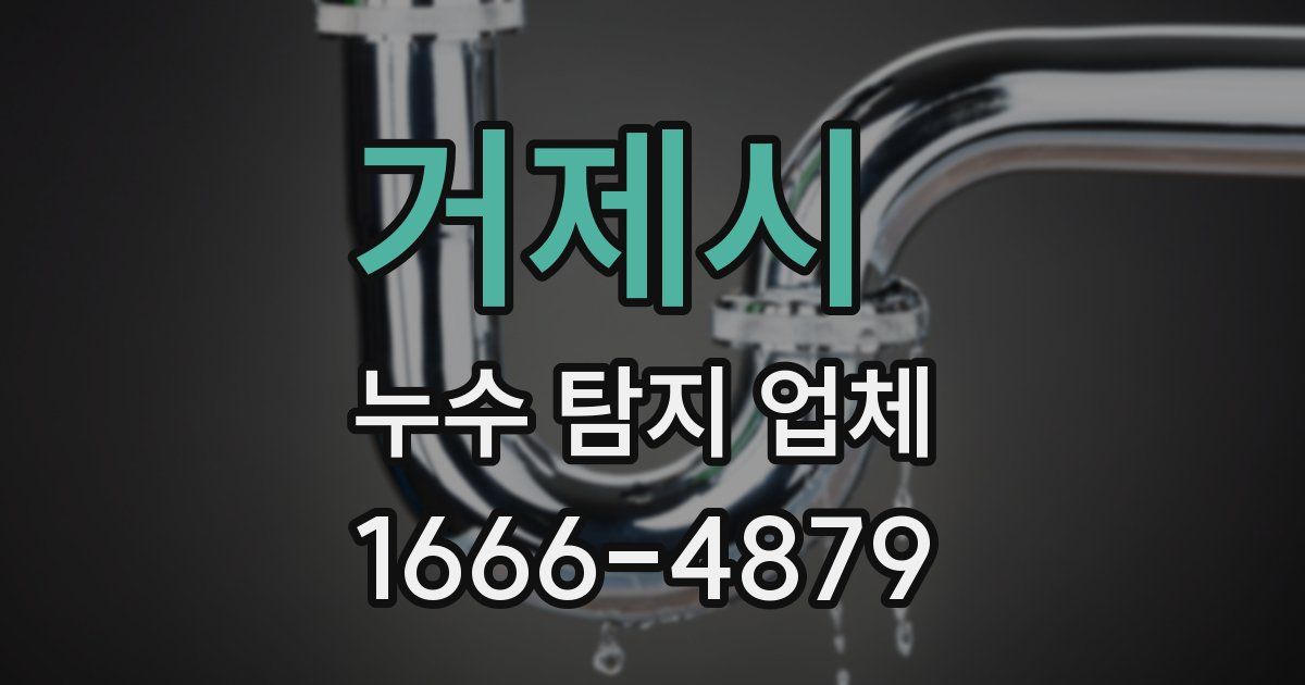 거제시 누수 탐지 업체