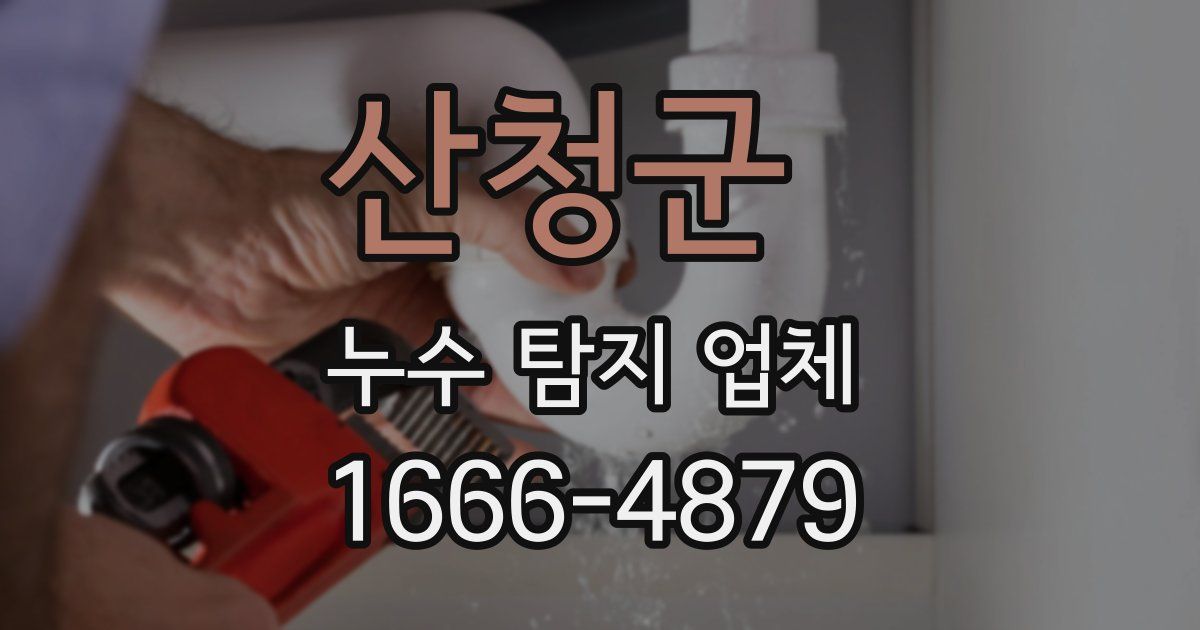 산청군 누수 탐지 업체