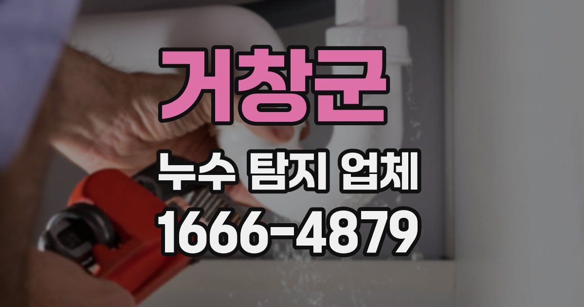거창군 누수 탐지 업체