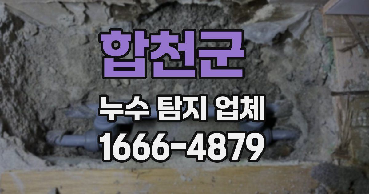 합천군 누수 탐지 업체