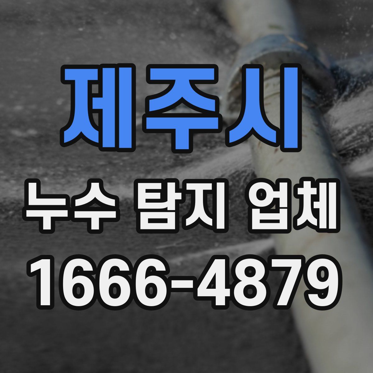 제주시 누수 탐지 업체
