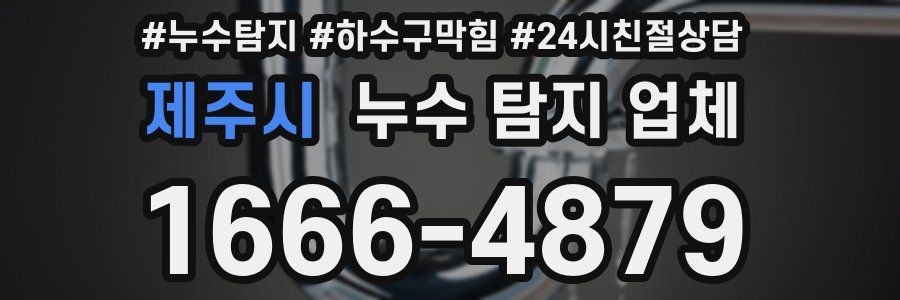 제주시 누수 탐지 업체