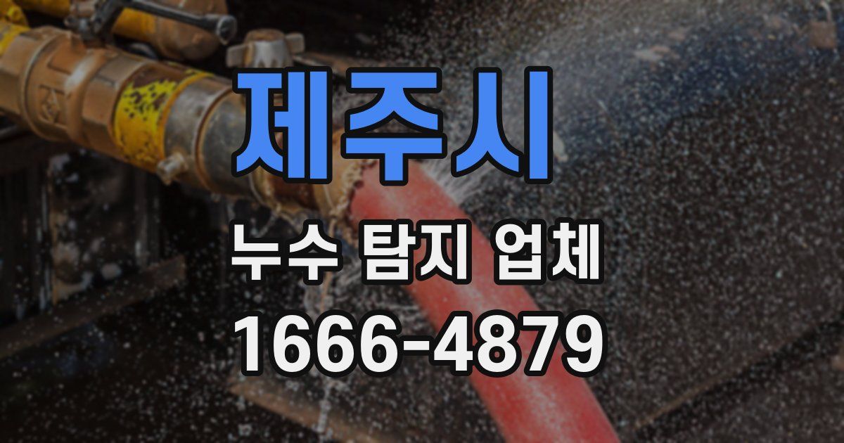 제주시 누수 탐지 업체
