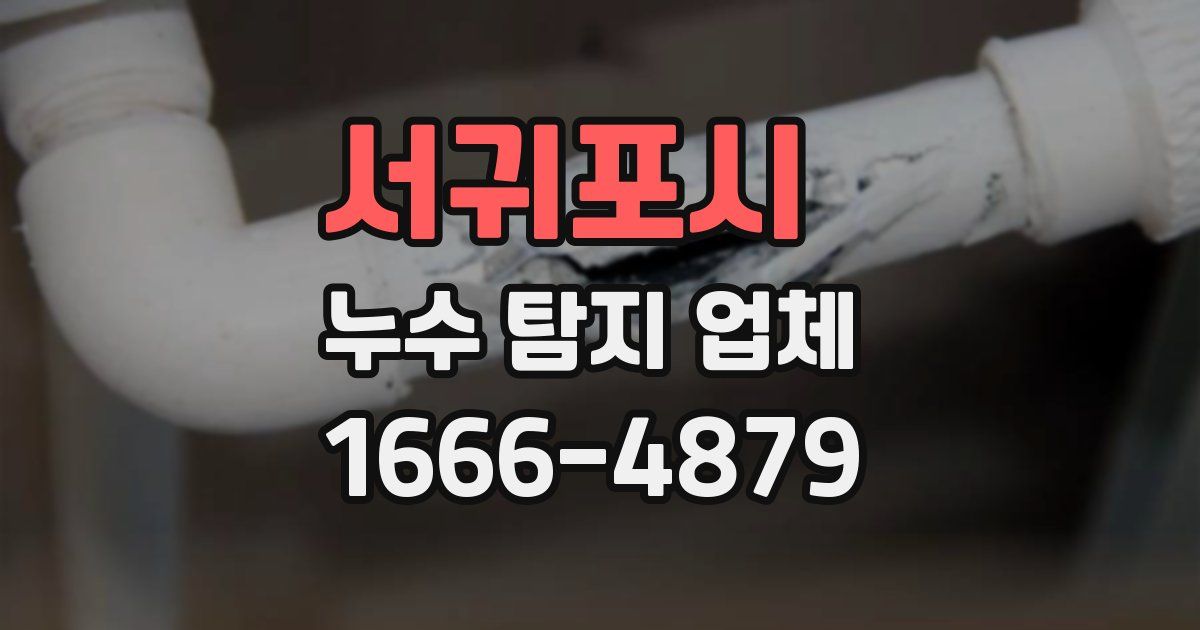 서귀포시 누수 탐지 업체