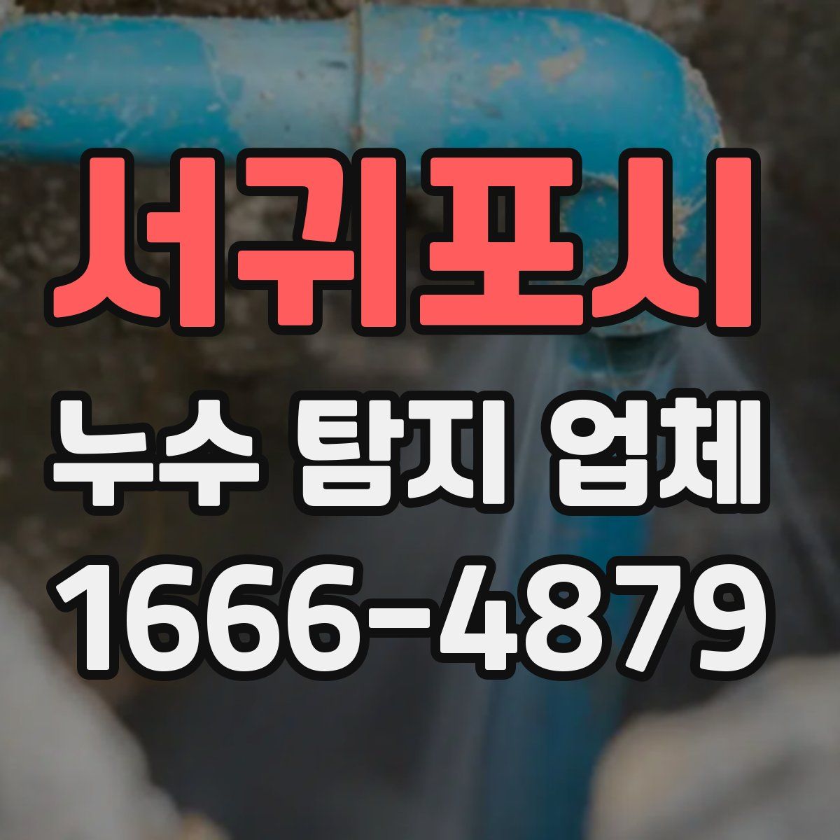 서귀포시 누수 탐지 업체