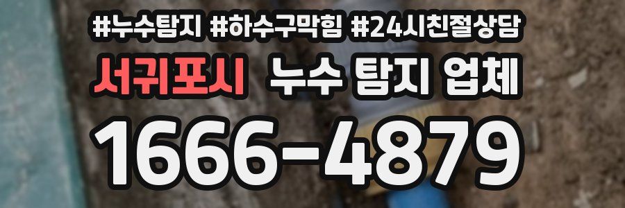 서귀포시 누수 탐지 업체