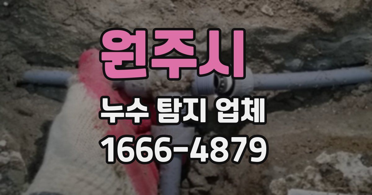 원주시 누수 탐지 업체