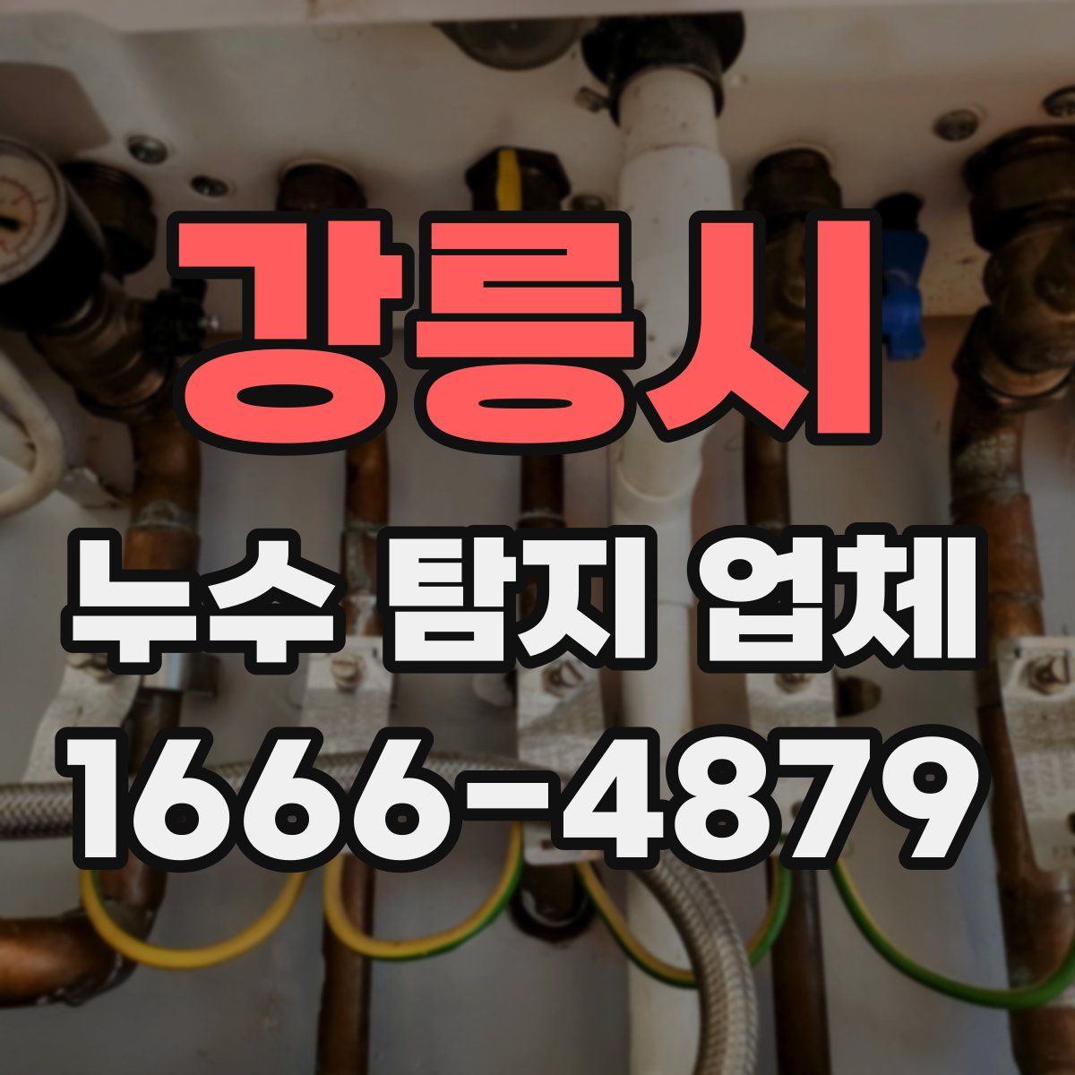 강릉시 누수 탐지 업체