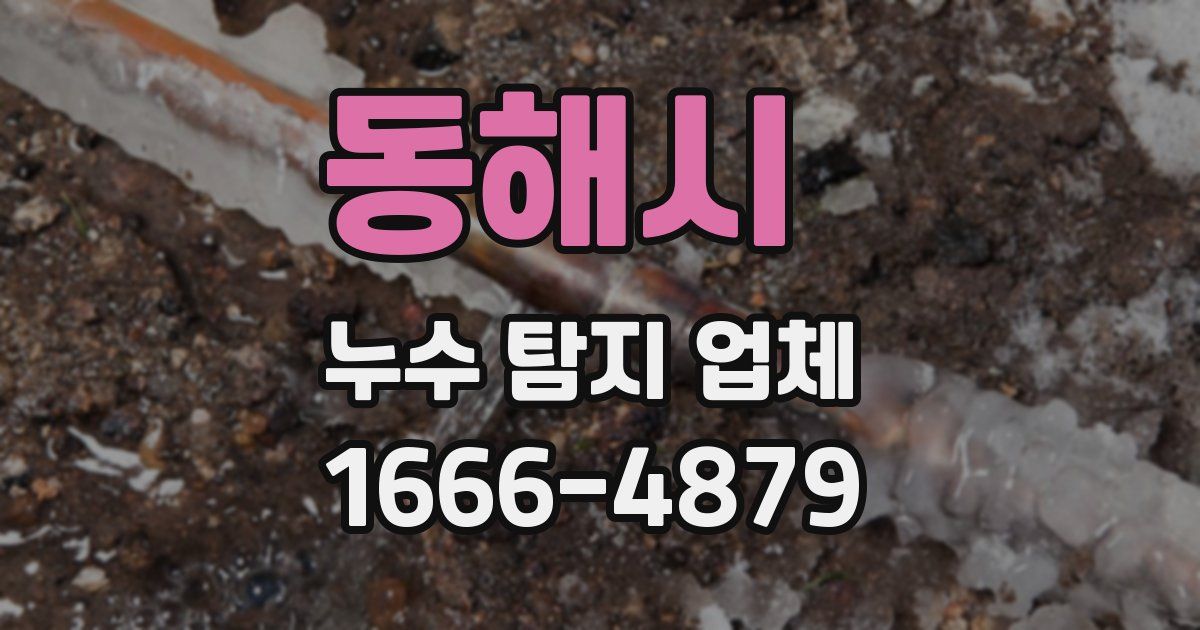 동해시 누수 탐지 업체