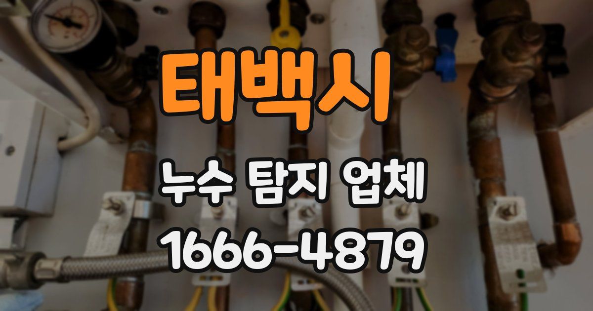 태백시 누수 탐지 업체