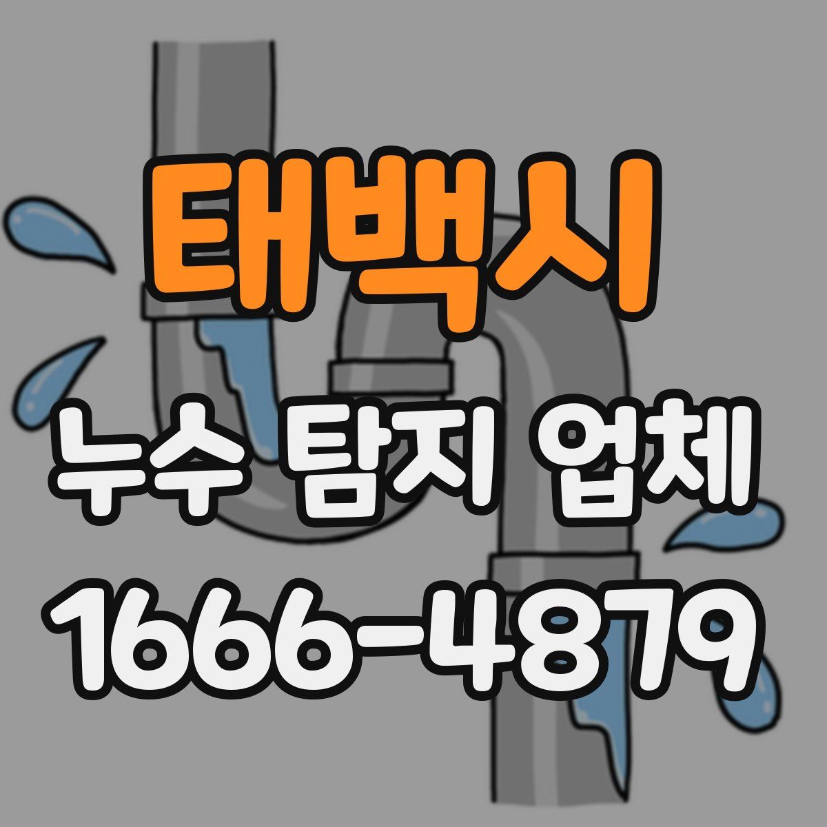태백시 누수 탐지 업체