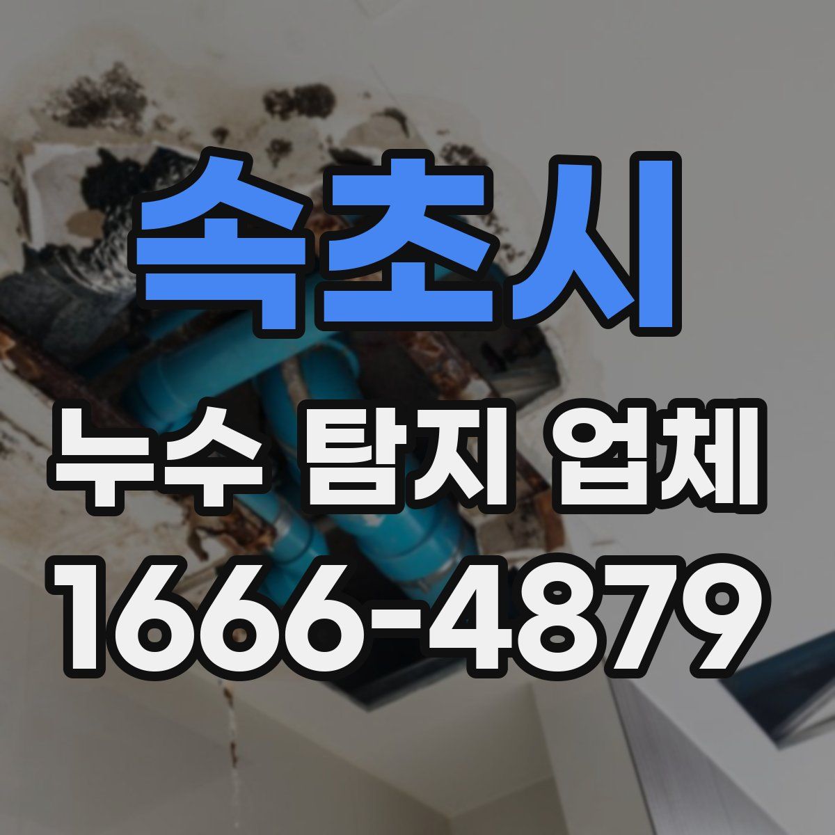 속초시 누수 탐지 업체