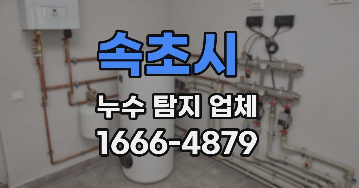 속초시 누수 탐지 업체