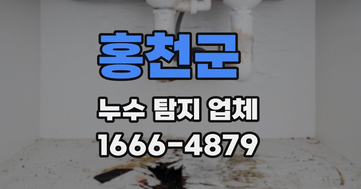홍천군 누수 탐지 업체