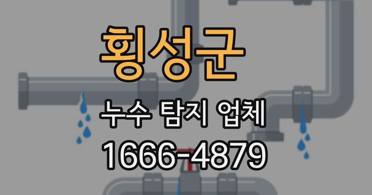 횡성군 누수 탐지 업체
