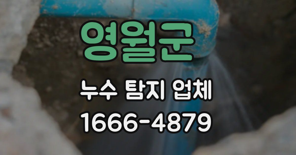 영월군 누수 탐지 업체