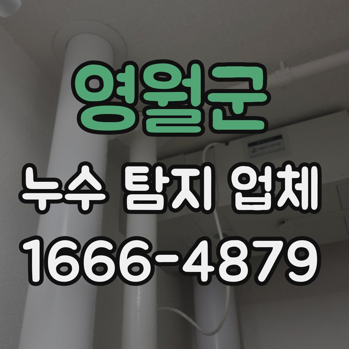 영월군 누수 탐지 업체