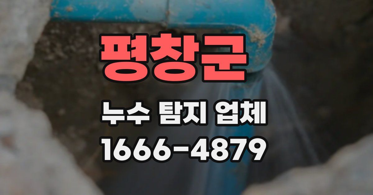 평창군 누수 탐지 업체