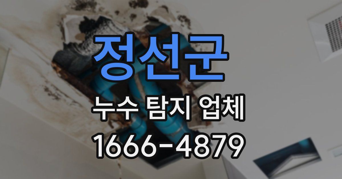 정선군 누수 탐지 업체