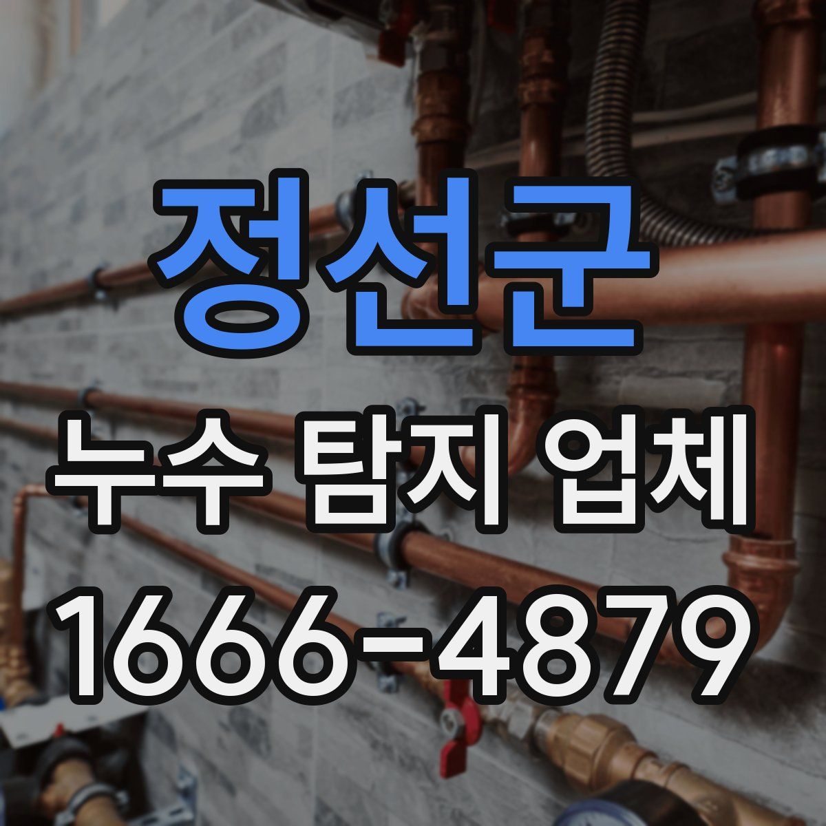 정선군 누수 탐지 업체