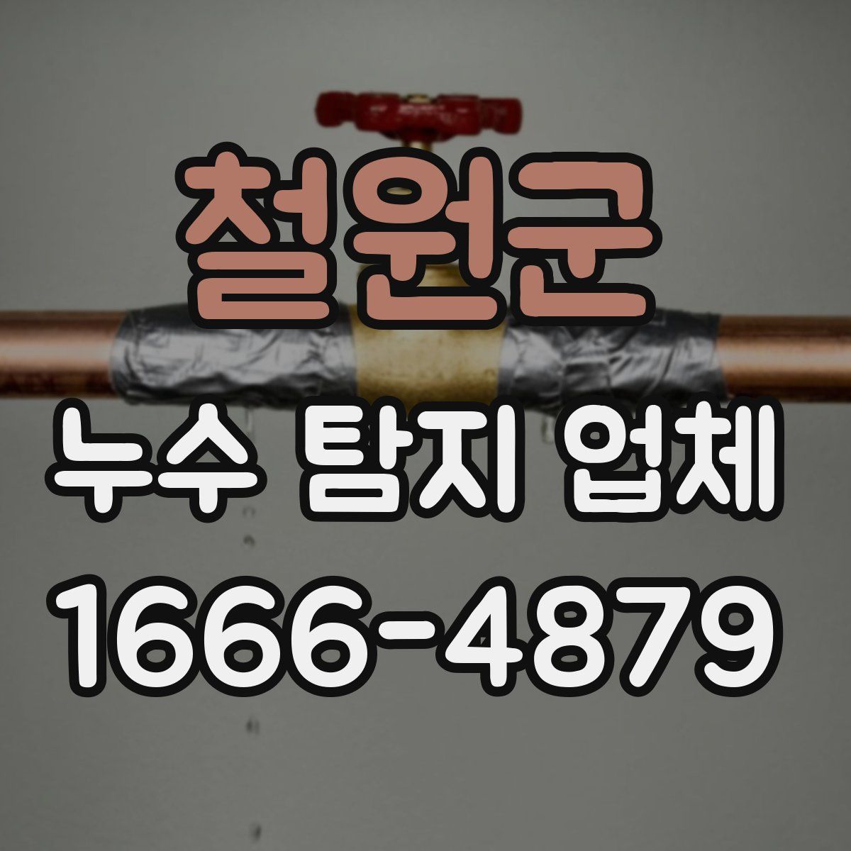 철원군 누수 탐지 업체