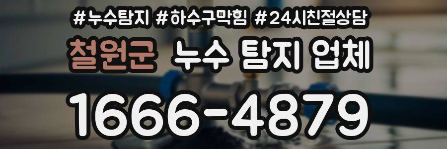 철원군 누수 탐지 업체
