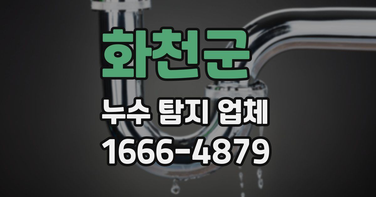 화천군 누수 탐지 업체