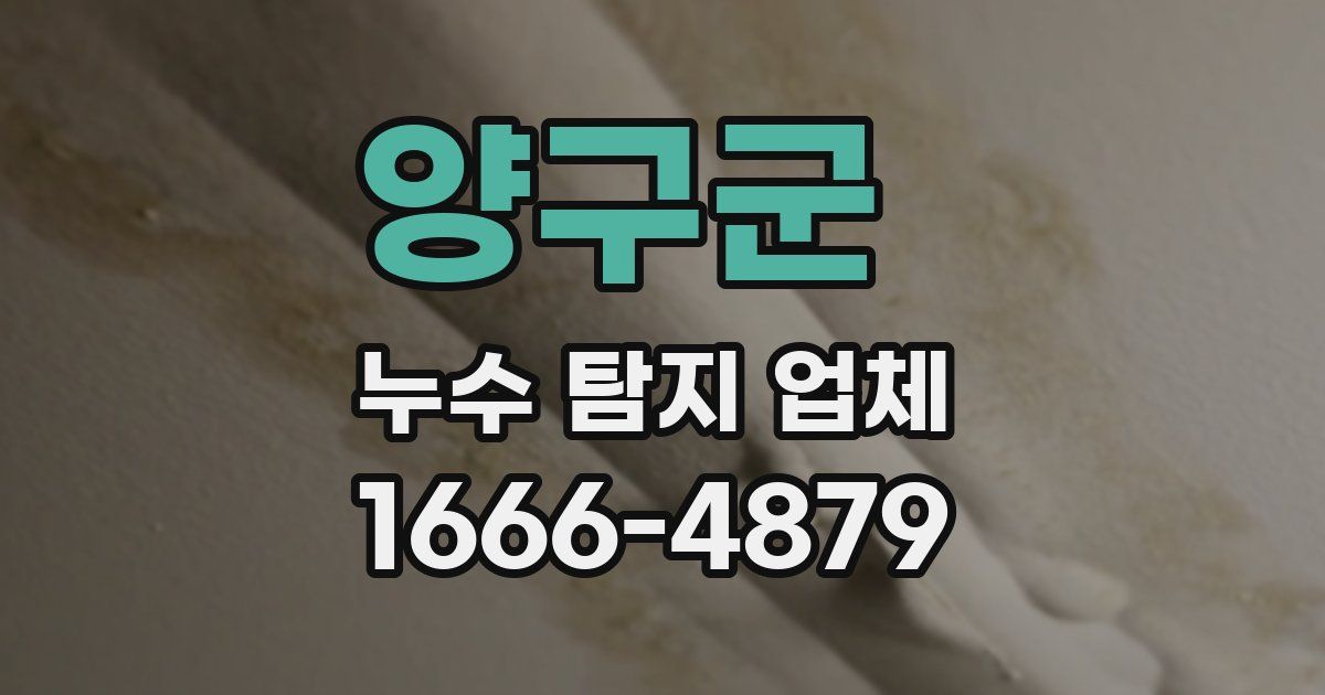 양구군 누수 탐지 업체