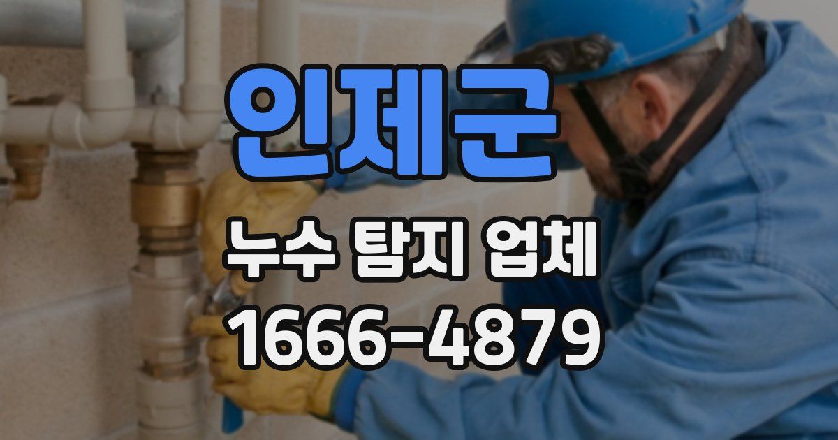 인제군 누수 탐지 업체