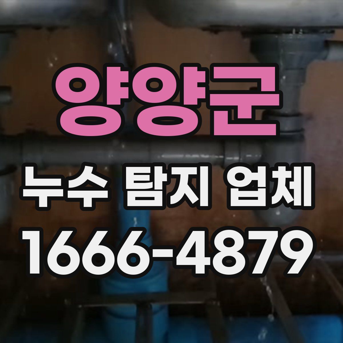 양양군 누수 탐지 업체