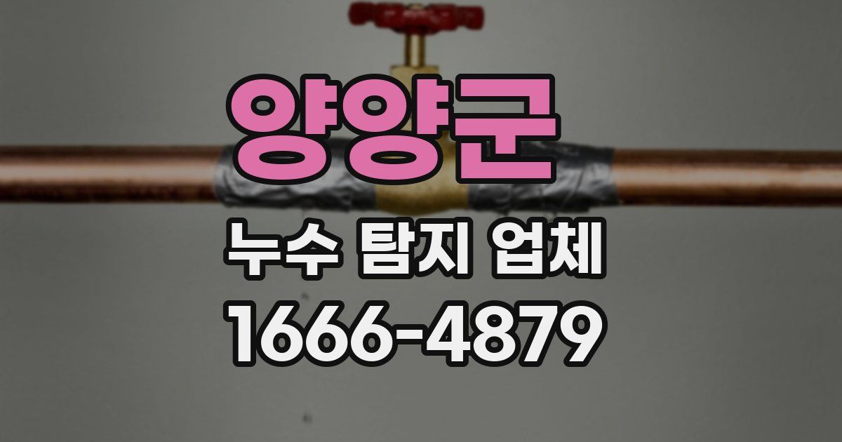 양양군 누수 탐지 업체