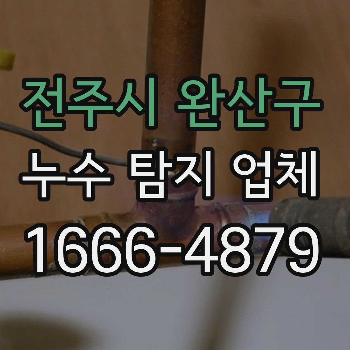 전주시 완산구 누수 탐지 업체
