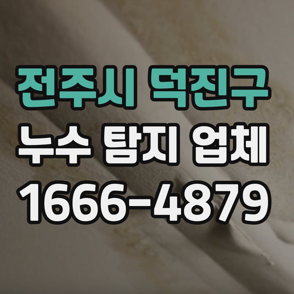 전주시 덕진구 누수 탐지 업체