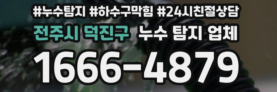 전주시 덕진구 누수 탐지 업체
