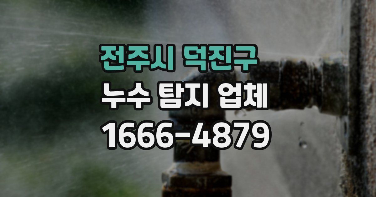 전주시 덕진구 누수 탐지 업체