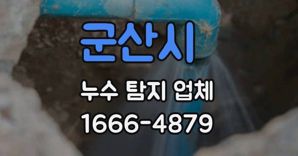 군산시 누수 탐지 업체