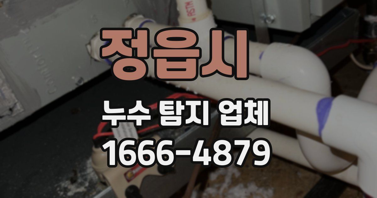 정읍시 누수 탐지 업체