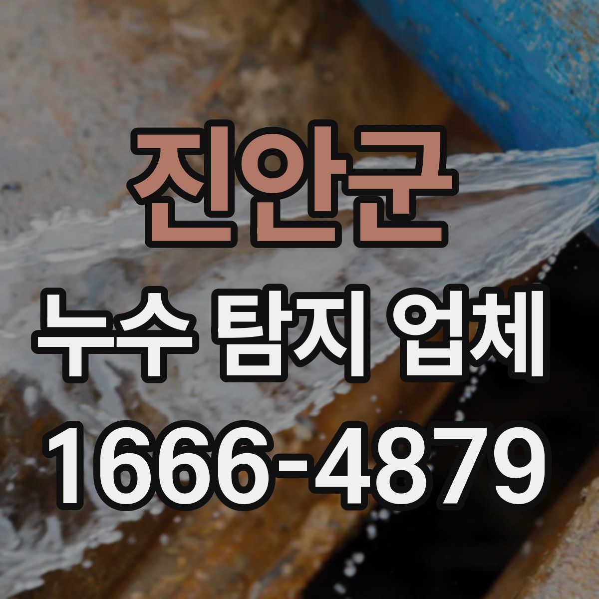 진안군 누수 탐지 업체