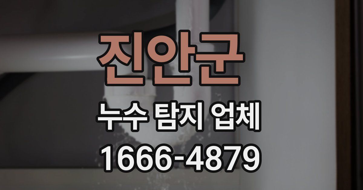 진안군 누수 탐지 업체