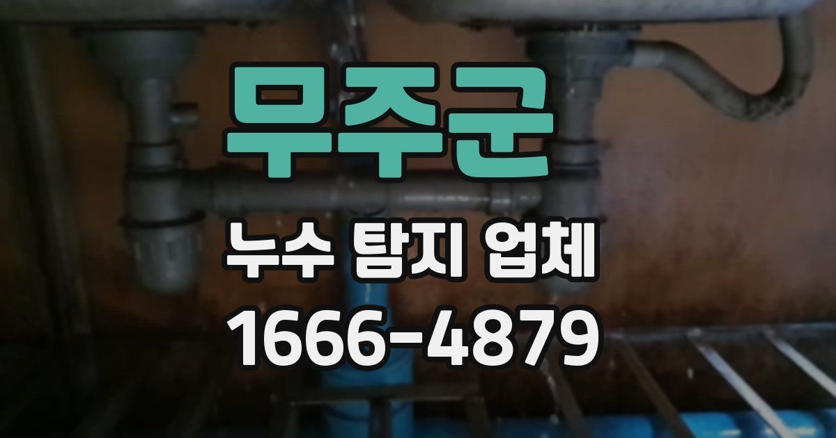 무주군 누수 탐지 업체