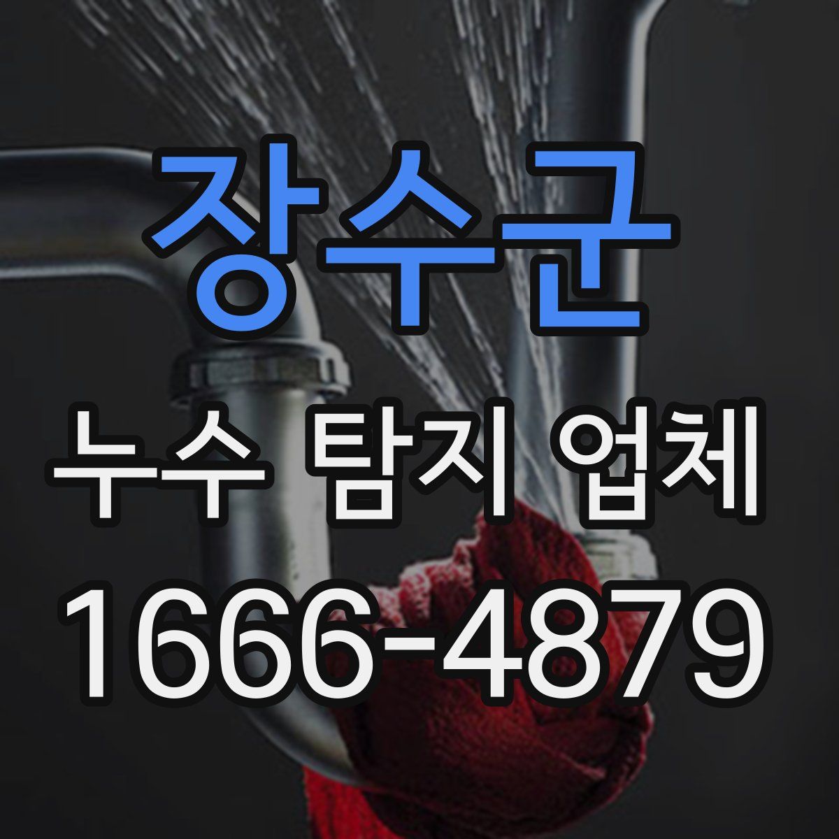 장수군 누수 탐지 업체