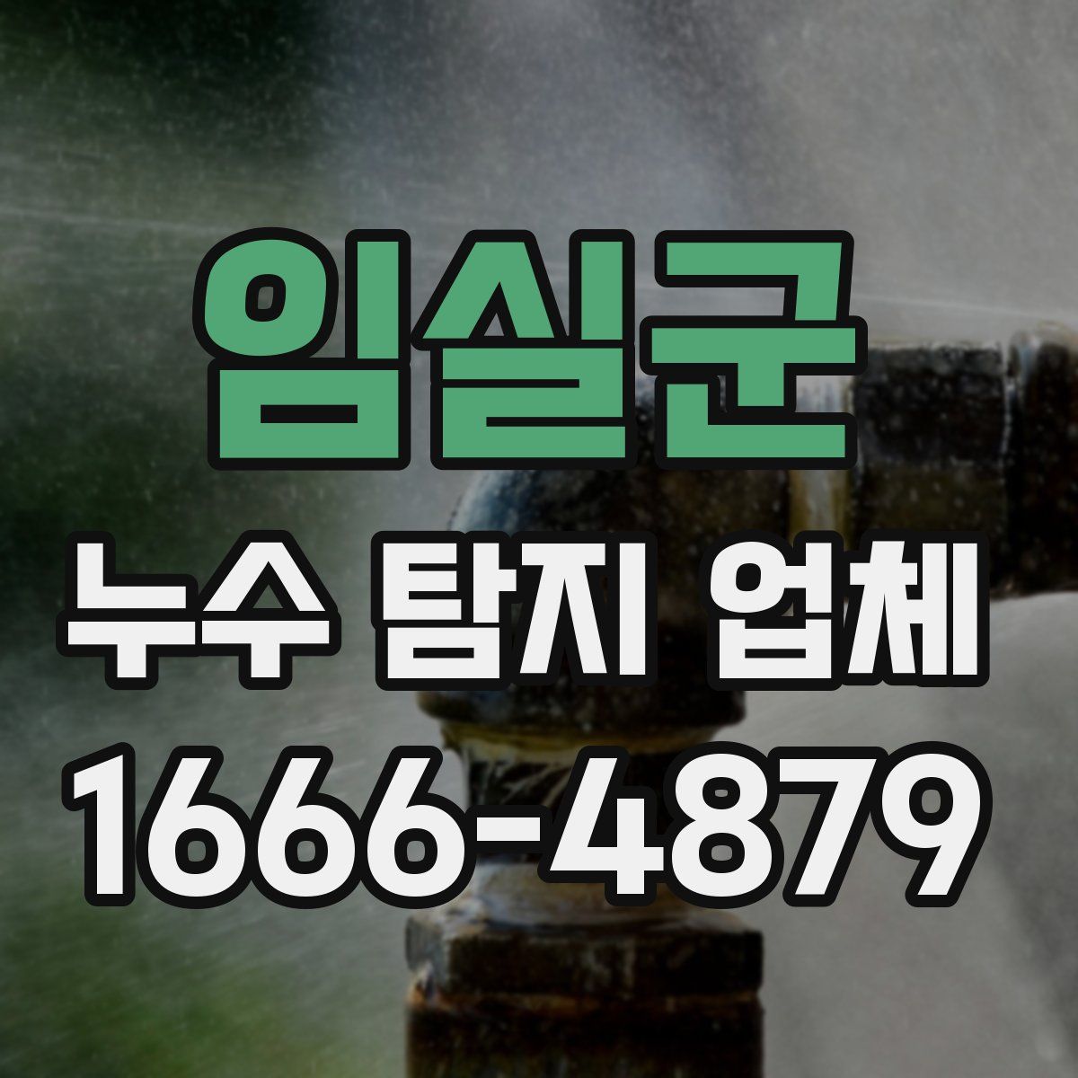 임실군 누수 탐지 업체