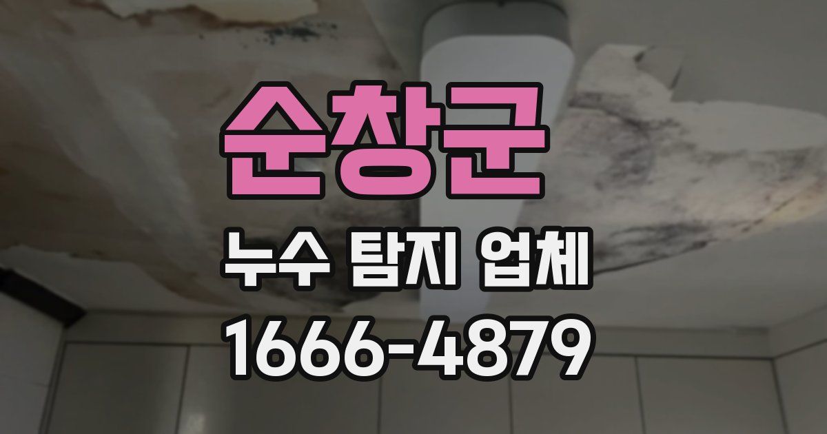 순창군 누수 탐지 업체